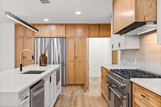 kitchen with a sink, stainless steel appliances, custom exhaust hood, and light countertops