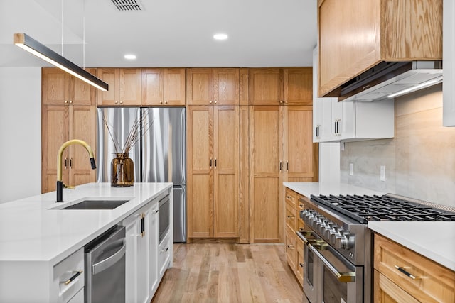 kitchen with a sink, light countertops, premium range hood, and stainless steel appliances