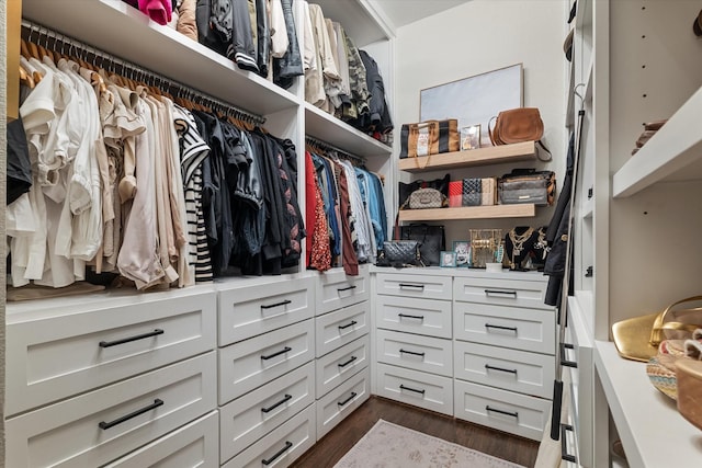 spacious closet with dark wood finished floors