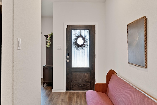 entrance foyer featuring a wealth of natural light and wood finished floors