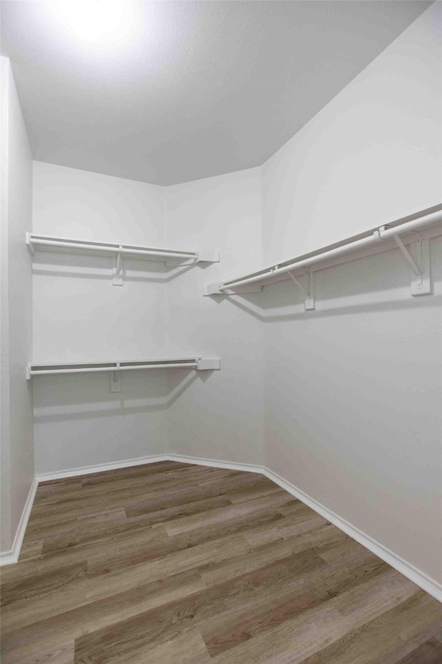 spacious closet with wood finished floors