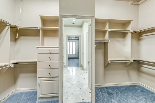 walk in closet featuring carpet