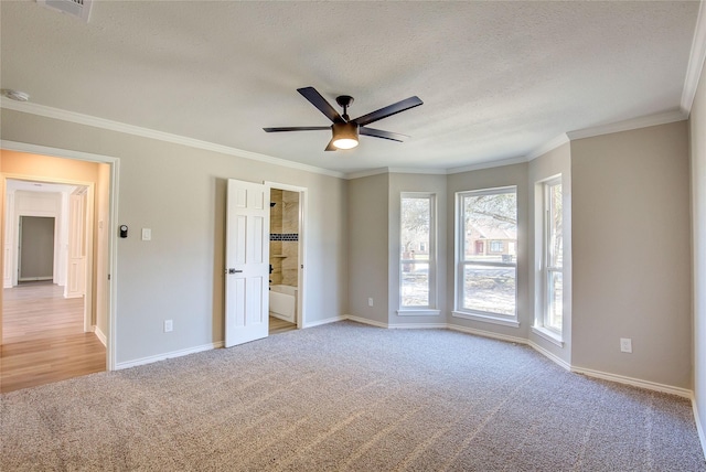 unfurnished bedroom featuring crown molding, a textured ceiling, and carpet