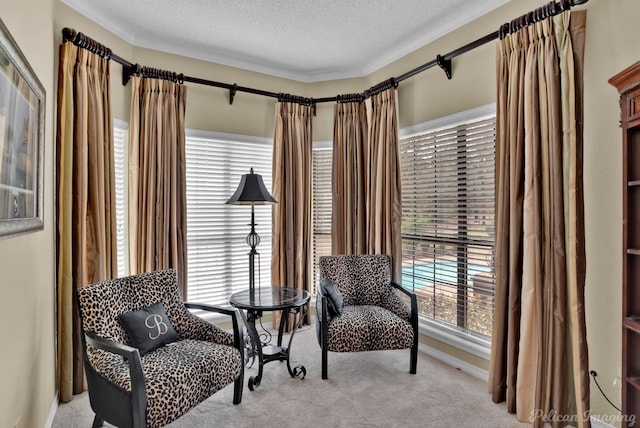 sitting room with light colored carpet and a textured ceiling