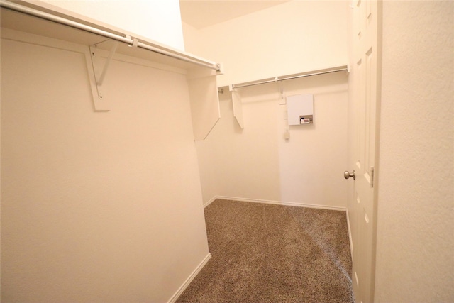 spacious closet with carpet flooring