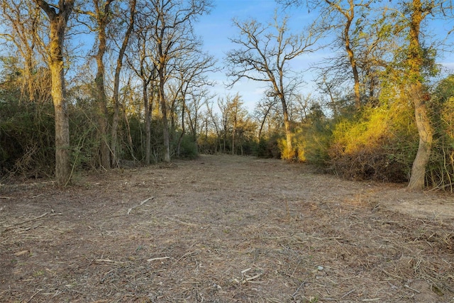 Listing photo 2 for 0000 Fm 3, Normangee TX 77871