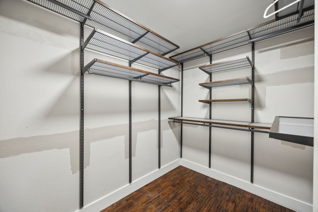 walk in closet featuring dark wood finished floors