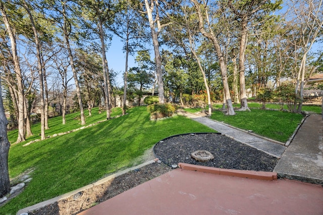 view of yard featuring a patio