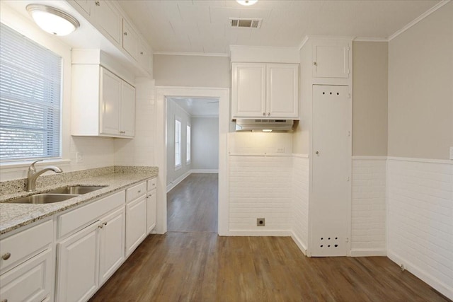 kitchen featuring visible vents, a sink, under cabinet range hood, dark wood-style floors, and white cabinets