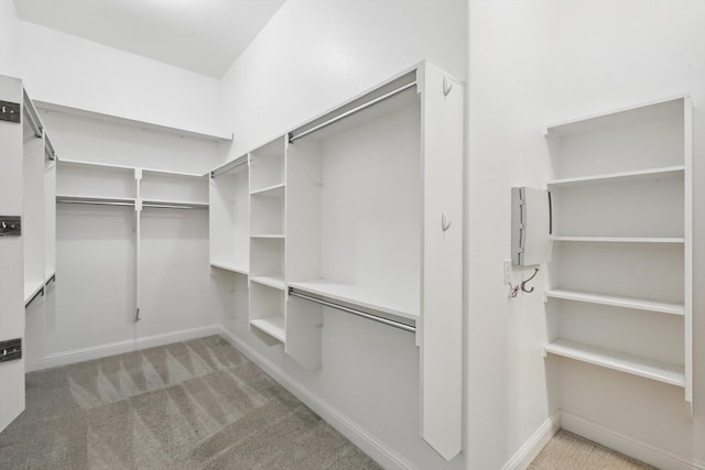 spacious closet featuring light colored carpet