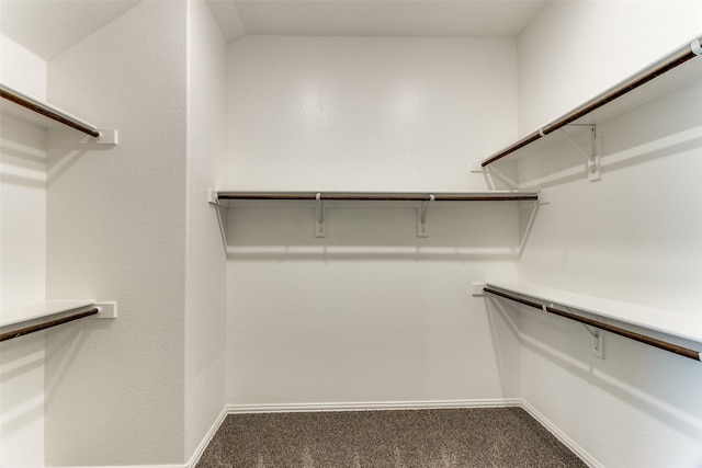 walk in closet featuring carpet flooring