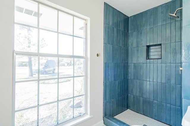 bathroom with plenty of natural light and a stall shower