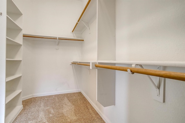 walk in closet with carpet