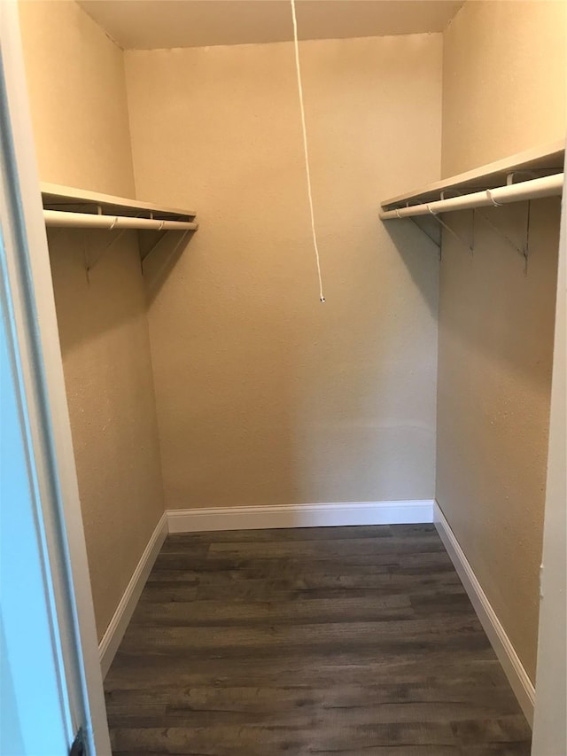 spacious closet with dark wood-type flooring