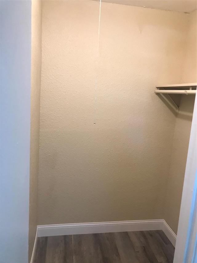 spacious closet featuring dark wood-type flooring