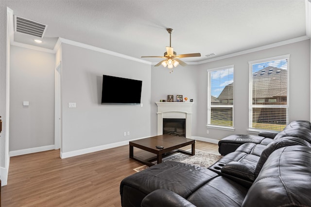 1504 Pleasant Knoll Trl, Aubrey, TX 76227 - living room featuring a glass covered fireplace, baseboards, visible vents, and light wood-type flooring