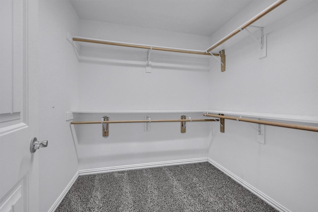 spacious closet featuring carpet floors