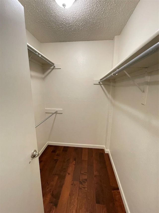 walk in closet featuring wood-type flooring