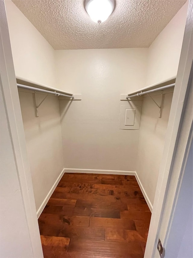 walk in closet featuring electric panel and wood finished floors