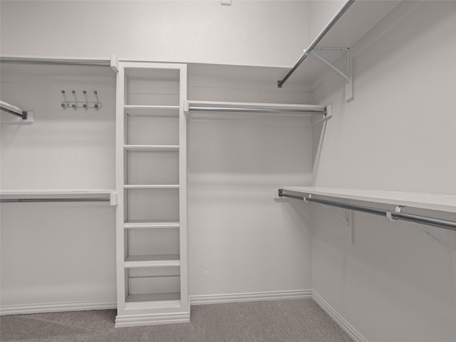 spacious closet with carpet