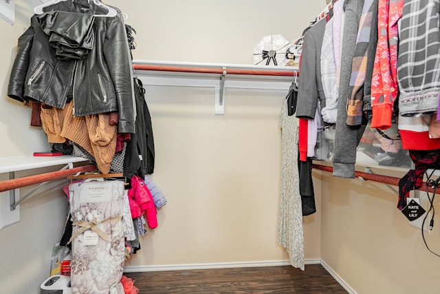 walk in closet with wood finished floors