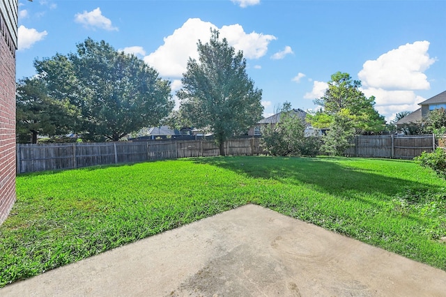 view of yard featuring a fenced backyard and a patio