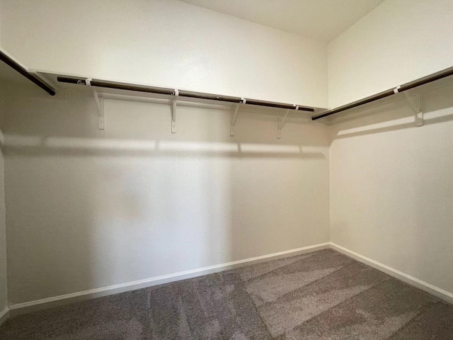 spacious closet with carpet flooring