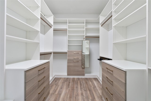 spacious closet featuring wood finished floors