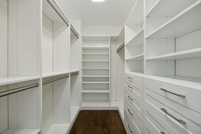 walk in closet featuring dark wood finished floors