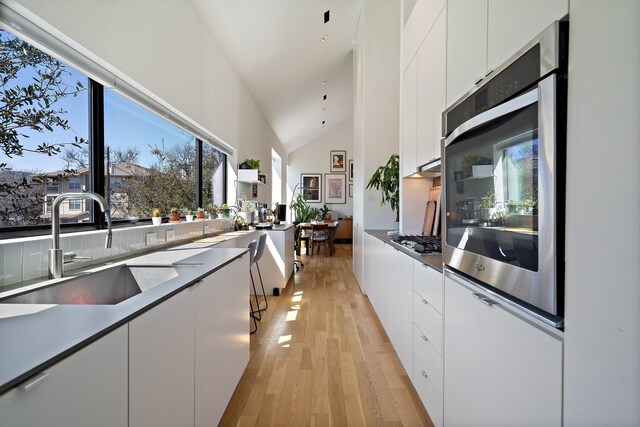 kitchen featuring light wood-type flooring, stainless steel appliances, white cabinetry, modern cabinets, and a sink