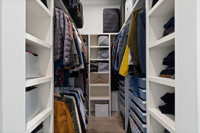 view of walk in closet