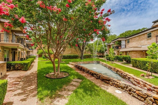 view of property's community with a yard