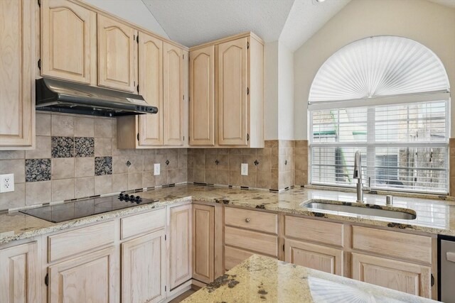 kitchen featuring light brown cabinets, under cabinet range hood, a sink, black electric cooktop, and light stone countertops