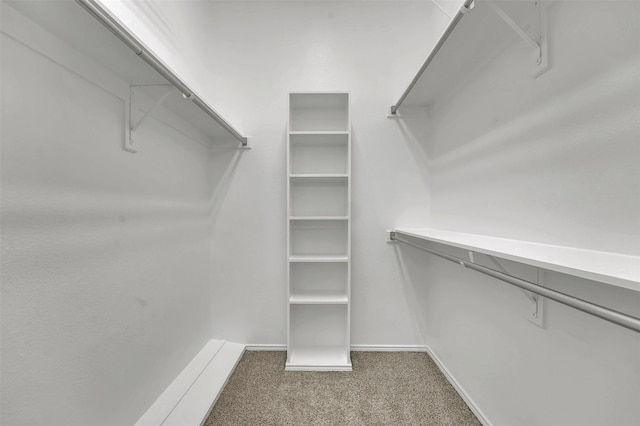 walk in closet featuring carpet flooring