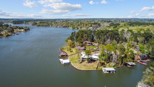 aerial view featuring a water view and a wooded view