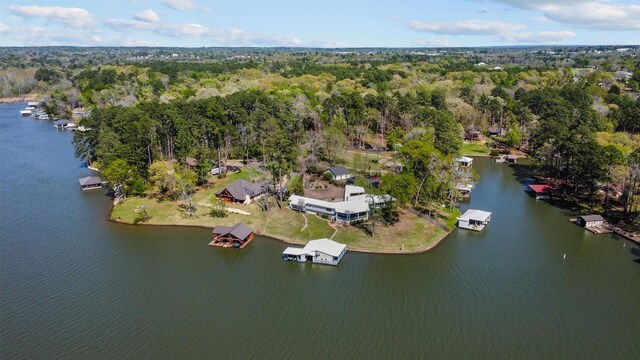 bird's eye view with a view of trees and a water view