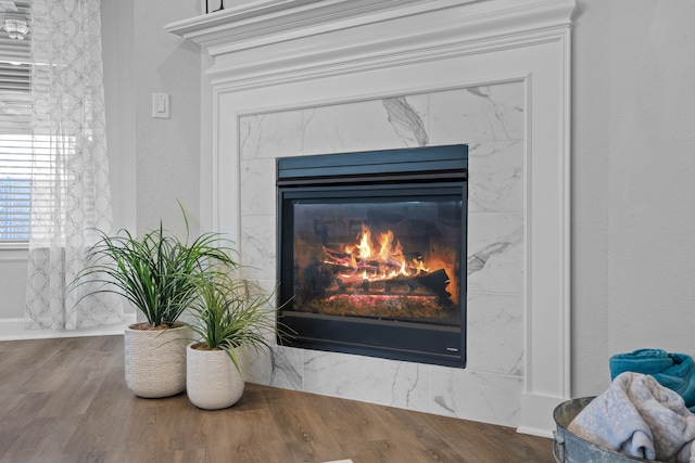 interior details with wood finished floors and a high end fireplace