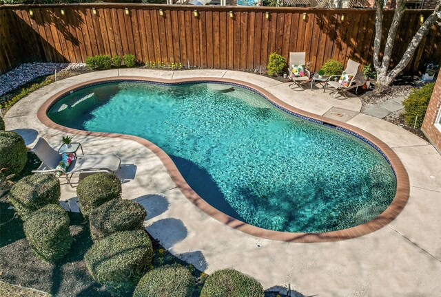 view of pool featuring a patio, a fenced backyard, and a fenced in pool