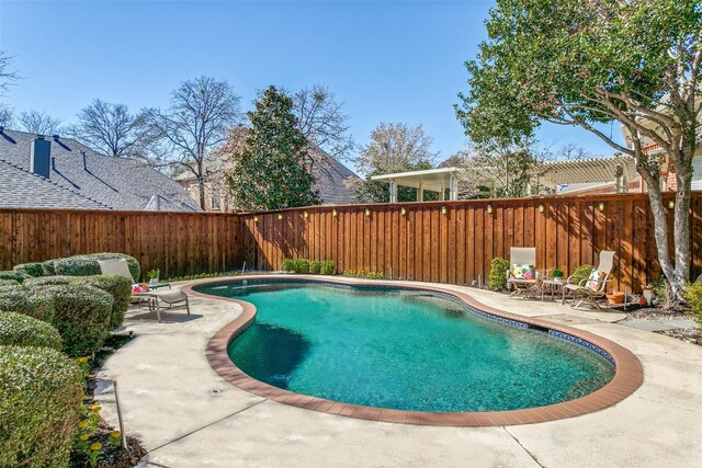 view of swimming pool with a fenced in pool, a fenced backyard, and a patio area