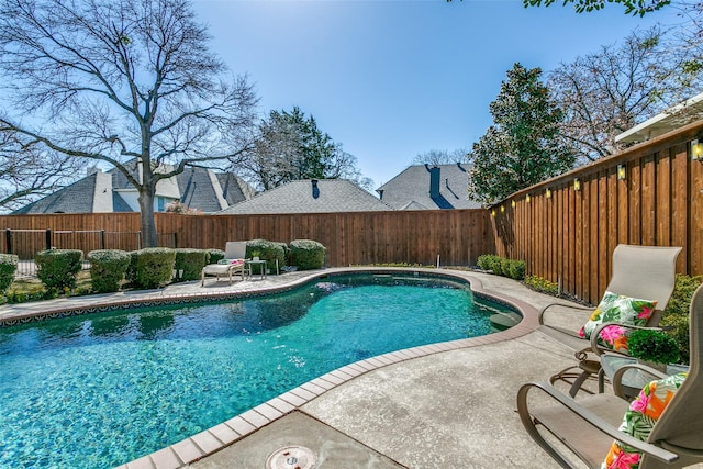 view of pool featuring a patio, a fenced in pool, and a fenced backyard