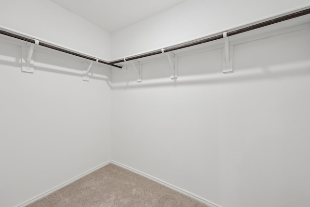 spacious closet with carpet floors