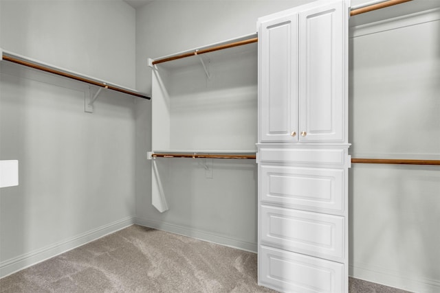 spacious closet featuring attic access and carpet floors