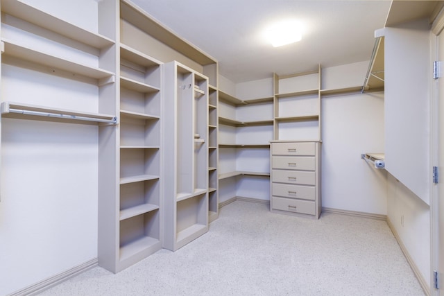 view of spacious closet