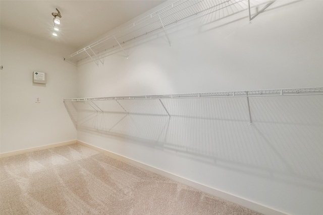 spacious closet featuring carpet