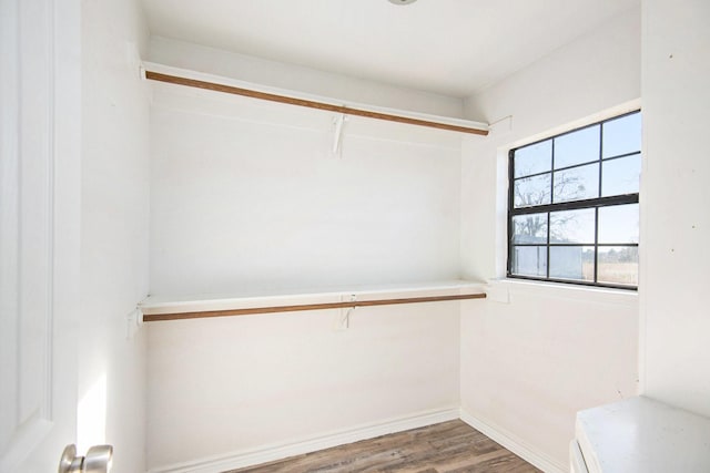 walk in closet with wood finished floors