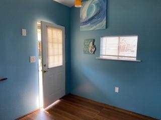 entryway with wood finished floors and a healthy amount of sunlight