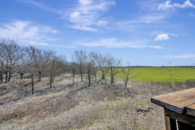 view of yard with a rural view