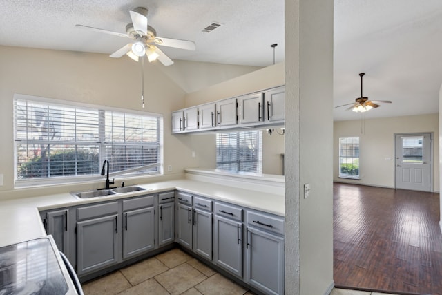 kitchen with a wealth of natural light, visible vents, gray cabinets, and a sink