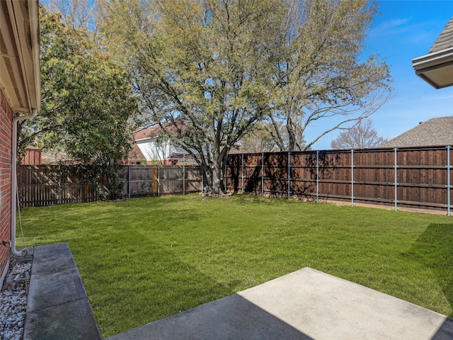 view of yard with a patio and a fenced backyard