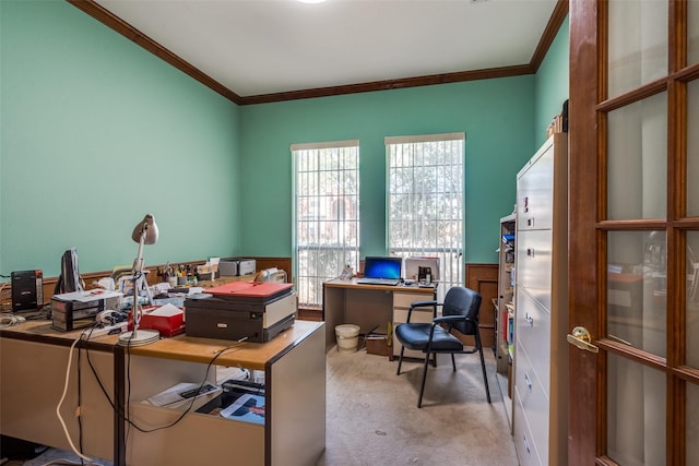 office space with wainscoting, carpet flooring, and crown molding